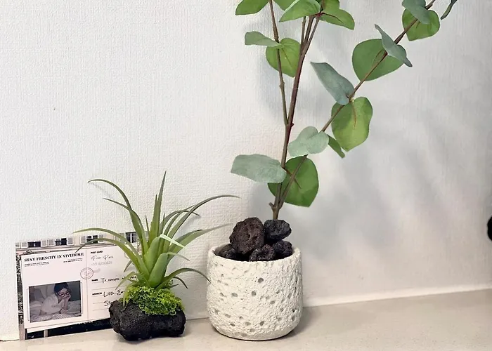 홍대 럭셔리 *